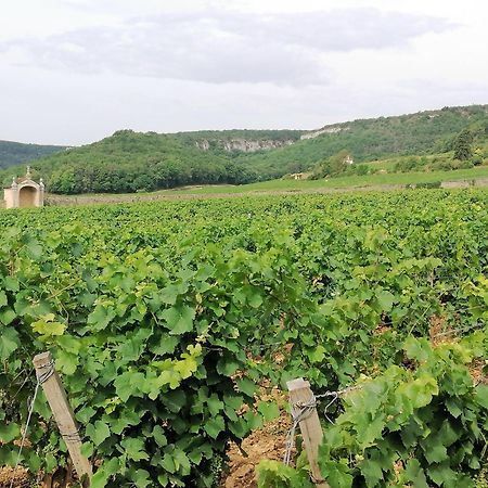 Gite Hautes Cotes De Nuits Curtil-Vergy Dış mekan fotoğraf