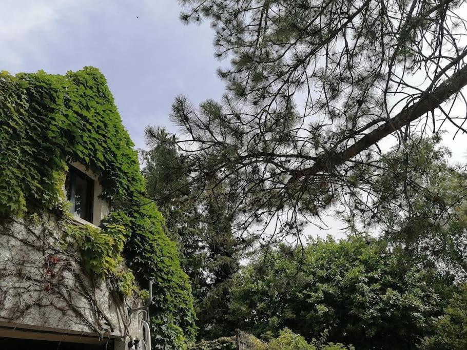 Gite Hautes Cotes De Nuits Curtil-Vergy Dış mekan fotoğraf