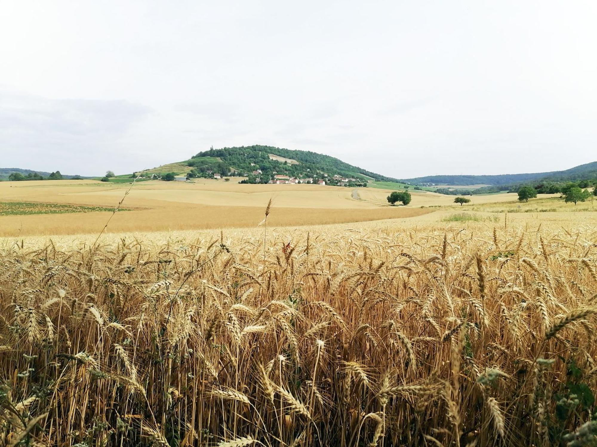 Gite Hautes Cotes De Nuits Curtil-Vergy Dış mekan fotoğraf